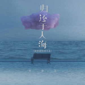 归还于人海（我知道你回不来）