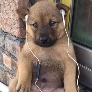 高进-别想他-DJ JK / DJ ADA（Mashup）