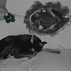 Diamond Under Pressure (feat. anthonyramxs)