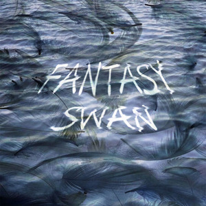 Fantasy Swan