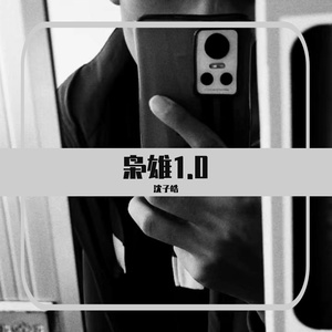 枭雄1.0（但使龙城飞将在，我摇旗呐喊在挂帅）