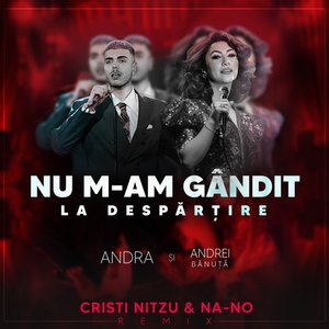 Nu m-am gandit la despartire - Cristi Nitzu & NA-NO Remix