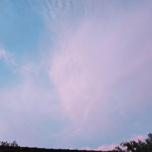 漂洋过海来看你