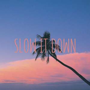 SLOW IT DOWN