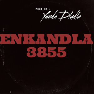 ENKANDLA 3855