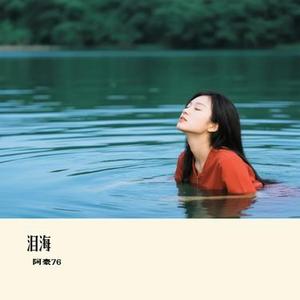 泪海 (Cover 图钉姐)