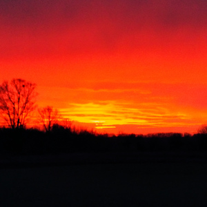 Скільки треба