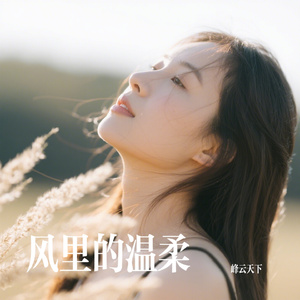 风里的温柔