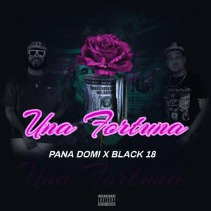 Una Fortuna (BLACK 18 Remix)