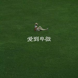 偷看的人最卑微