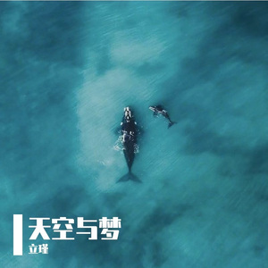 要记得(特别版)