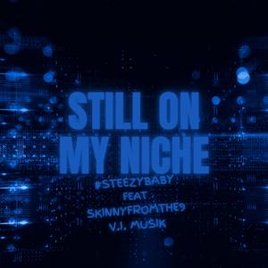 Still On My Niche (feat. Skinnyfromthe9 & V.I. Musik)