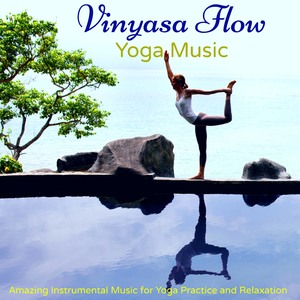Vinyasa