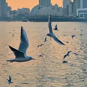 窗外已放晴 我的爱怎么停 （翻小京东）