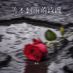 等不到雨的玫瑰