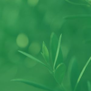 微妙的放松心情