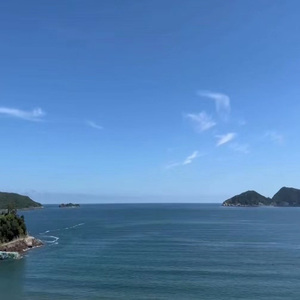 绿叶在流泪（钢琴）