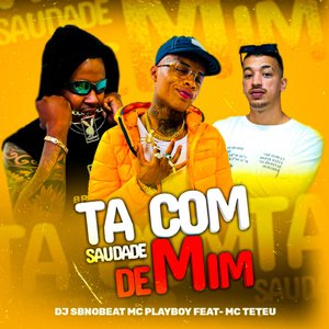 Tá Com Saudade de Mim (feat. MC Teteu)