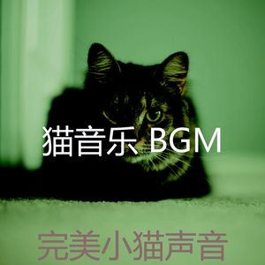 微妙的睡猫心情