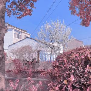 致00后的预防针