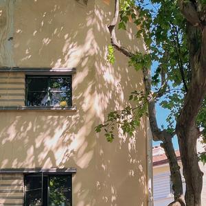 世界赠予我的【钢琴版】(翻自 王菲)