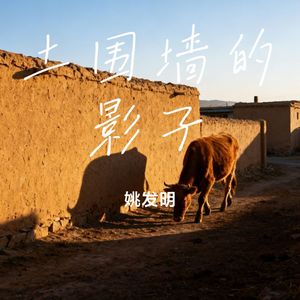 土围墙的影子