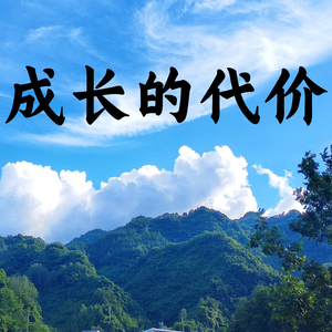 成长的代价