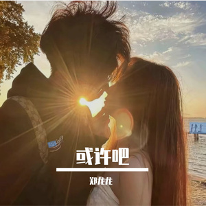 或许吧