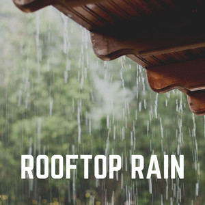Rain Scintillator