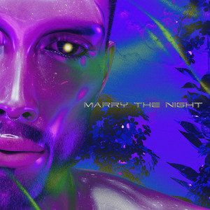 Marry the Night