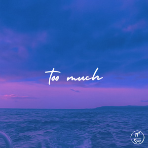Too Much