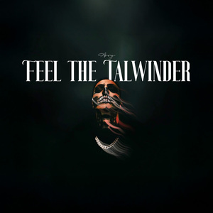 Feel The Talwinder