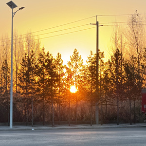 苏幕遮·燕语情长