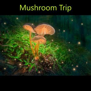 Mushroom Trip