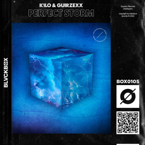 Perfect Storm (Extended Mix)