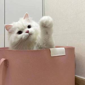 广东十年爱情故事