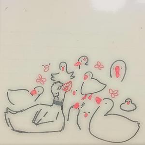 小白鹅