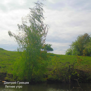 Летнее утро