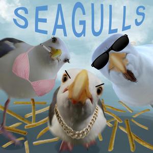 Seagulls of Brighton