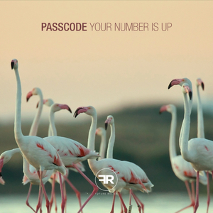 Ruber (Original Mix)