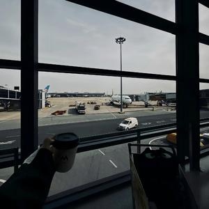 山茶花开了，该回家了