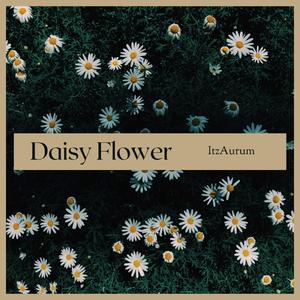 Daisy Flower