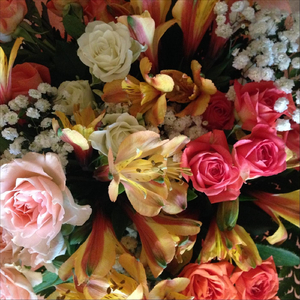 Самый теплый день весны