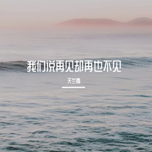 我们说再见却再也不见