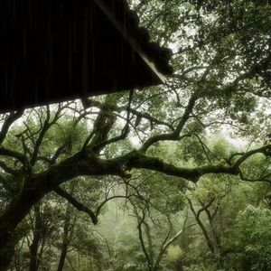 “身不由己”- 中国风×民族×萧×Piano Ballad Type Beat