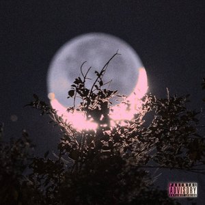 明月楼高（prod.aura）