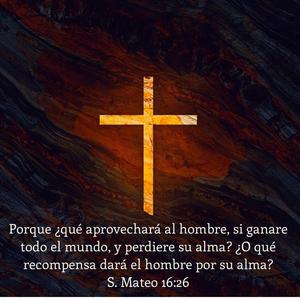 Sin Tu Precencia // The Nou...