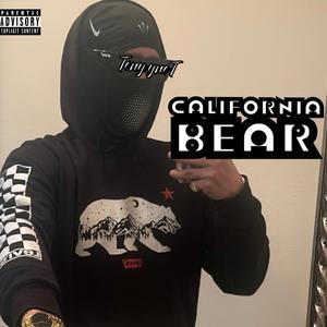CALIFORNIA BEAR