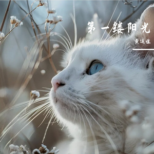 微笑的世界(prod by RoyalBoyBrazy)