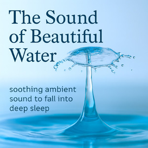 自律神経を整える波音アンビエント